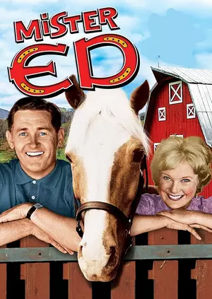 	Mister Ed	